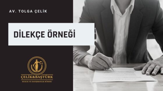 Babalık Davası Dilekçe Örneği