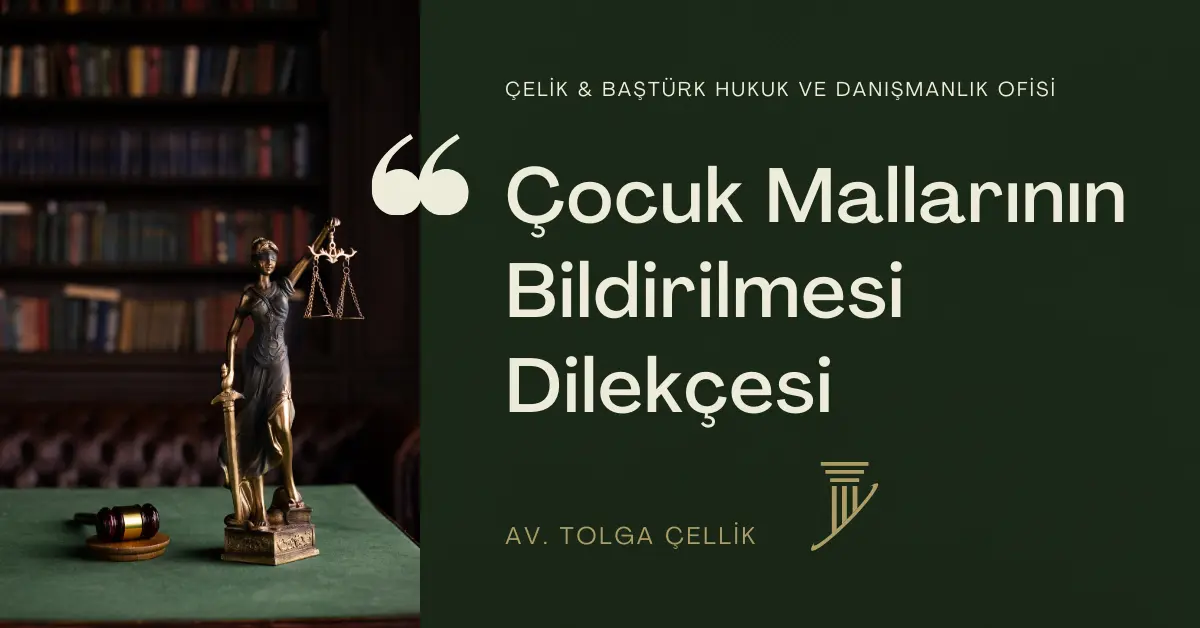 Çocuk Mallarının Bildirilmesi Dilekçesi